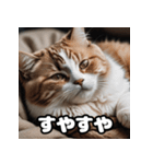 ころころマンチカンの日常スタンプ（個別スタンプ：31）