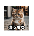 ころころマンチカンの日常スタンプ（個別スタンプ：32）