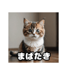 ころころマンチカンの日常スタンプ（個別スタンプ：36）