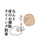 前向キウイ2（個別スタンプ：5）