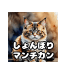 水彩タッチのマンチカン日和（個別スタンプ：3）