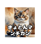 水彩タッチのマンチカン日和（個別スタンプ：19）