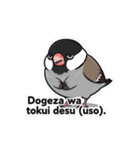 ピーチクの闇夜つぶやきスタンプ（個別スタンプ：36）