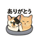 ヒロモン猫（個別スタンプ：2）