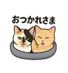 ヒロモン猫（個別スタンプ：3）