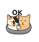 ヒロモン猫（個別スタンプ：4）
