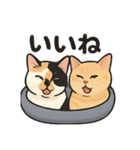 ヒロモン猫（個別スタンプ：6）
