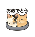 ヒロモン猫（個別スタンプ：8）