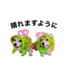 可愛いお笑い系ももちゃん その3（個別スタンプ：10）