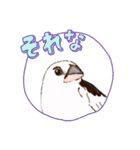 ジュウシマツ！使いやすいスタンプ2（個別スタンプ：12）