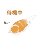 ジュウシマツ！使いやすいスタンプ2（個別スタンプ：14）
