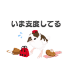 ジュウシマツ！使いやすいスタンプ2（個別スタンプ：17）
