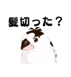 ジュウシマツ！使いやすいスタンプ2（個別スタンプ：19）