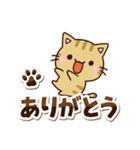 ちびキジトラ☆シンプル（個別スタンプ：14）