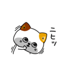 ねこ依存毒舌2割くらい（個別スタンプ：22）