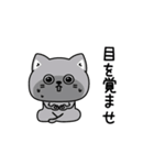 ねこ依存毒舌2割くらい（個別スタンプ：24）