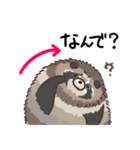 冬毛のエゾタヌキさん2（個別スタンプ：10）