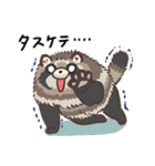 冬毛のエゾタヌキさん2（個別スタンプ：21）