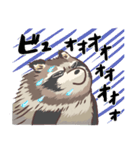 冬毛のエゾタヌキさん2（個別スタンプ：26）