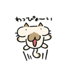 おまねこまみれ3（個別スタンプ：39）