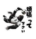 ゴリラ×サッカー！第六弾！敬語！（個別スタンプ：19）