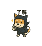 忍者柴犬（個別スタンプ：2）