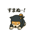 忍者柴犬（個別スタンプ：3）