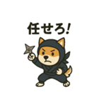 忍者柴犬（個別スタンプ：4）