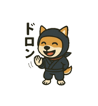 忍者柴犬（個別スタンプ：8）
