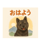 ほんわか甲斐犬（個別スタンプ：1）