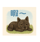 ほんわか甲斐犬（個別スタンプ：4）