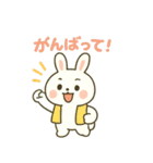 白うさぎのまいにちスタンプ（個別スタンプ：40）