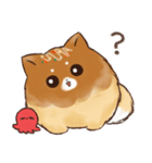 あつあつ！たこ焼き犬（個別スタンプ：1）