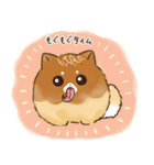 あつあつ！たこ焼き犬（個別スタンプ：2）