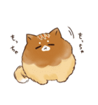 あつあつ！たこ焼き犬（個別スタンプ：11）