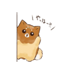 あつあつ！たこ焼き犬（個別スタンプ：17）