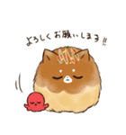 あつあつ！たこ焼き犬（個別スタンプ：26）