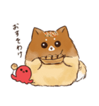 あつあつ！たこ焼き犬（個別スタンプ：36）