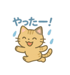 にゃんこフレンズのまいにちスタンプ（個別スタンプ：16）