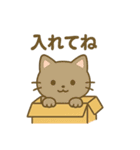 にゃんこフレンズのまいにちスタンプ（個別スタンプ：17）