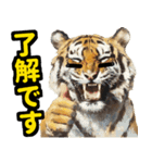 大阪神戸の野球好き虎ファン向け4（個別スタンプ：2）
