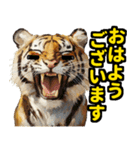 大阪神戸の野球好き虎ファン向け4（個別スタンプ：5）