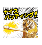 大阪神戸の野球好き虎ファン向け4（個別スタンプ：13）