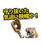 大阪神戸の野球好き虎ファン向け4（個別スタンプ：16）