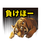 大阪神戸の野球好き虎ファン向け4（個別スタンプ：23）