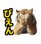 大阪神戸の野球好き虎ファン向け4（個別スタンプ：24）