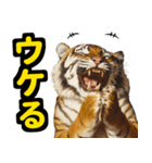 大阪神戸の野球好き虎ファン向け4（個別スタンプ：25）