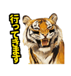 大阪神戸の野球好き虎ファン向け4（個別スタンプ：29）
