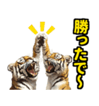 大阪神戸の野球好き虎ファン向け4（個別スタンプ：31）