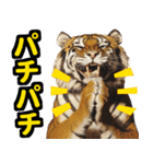 大阪神戸の野球好き虎ファン向け4（個別スタンプ：34）